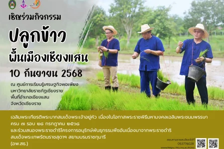 โปสเตอร์เกี่ยวข้าว ชส copy